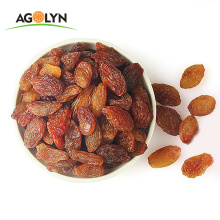 Organic Xinjiang Sweet Price Sultana